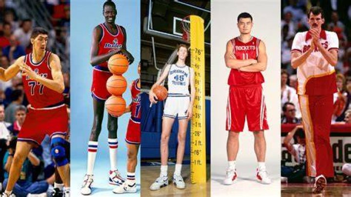 10+ Tallest Basketball Players in NBA History in 2021 Basketball