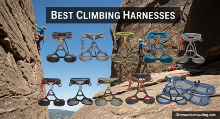 6 Best Harnesses for a Dachshund Our 2019 Dachshund Harness Guide