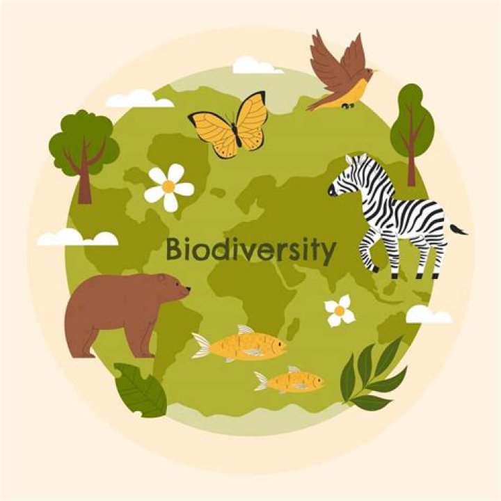 A World Of Biodiversity And Ecological Wonders