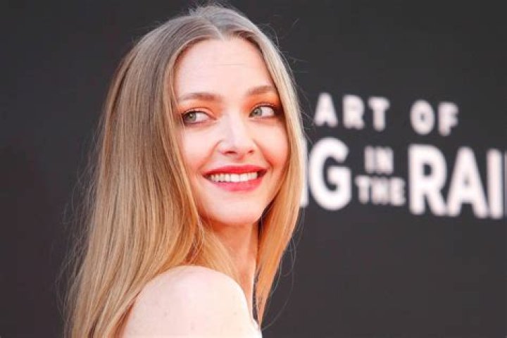 Amanda Seyfried y el acoso que sufri&oacute; tras Chicas pesadas