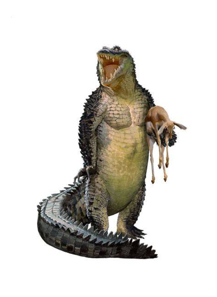 another mutant reptile, Tomasz Zarucki on ArtStation at https//www