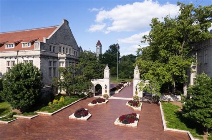 Ava McBride University of Indianapolis Indianapolis, Indiana