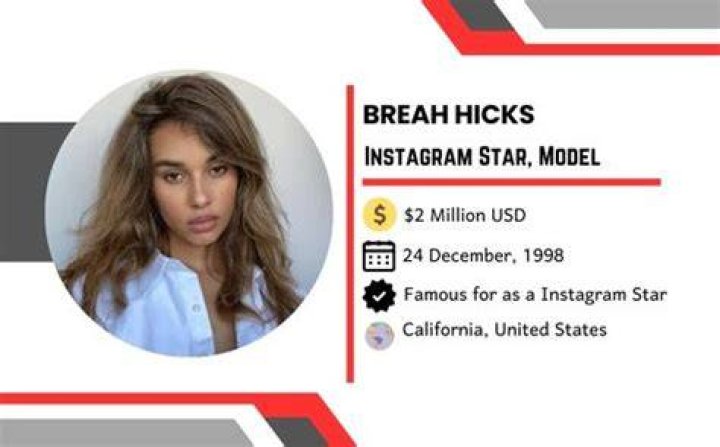 Breah Hicks (Instagram Star) Wiki, Biography, Age, Boyfriend, Family, Facts And More