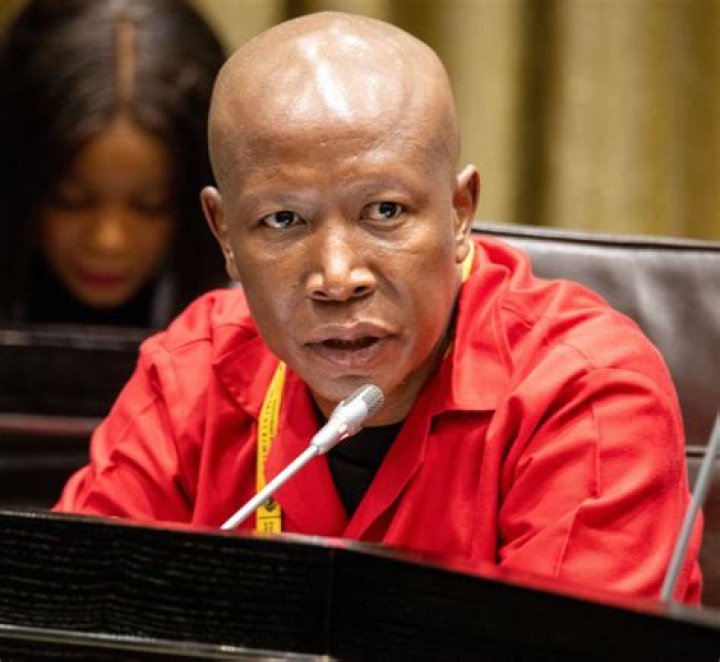 Cute pictures of Julius Malema and wife attending a wedding Mzansi365
