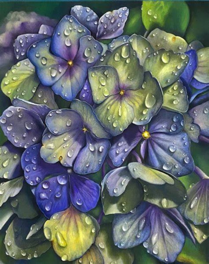 Debra Spence Original fine art, Art contest, Fine art