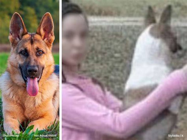 Denise Frazier Dog Video Mississippi Woman Who Allegedly Had Sex With Dog Arrested Business