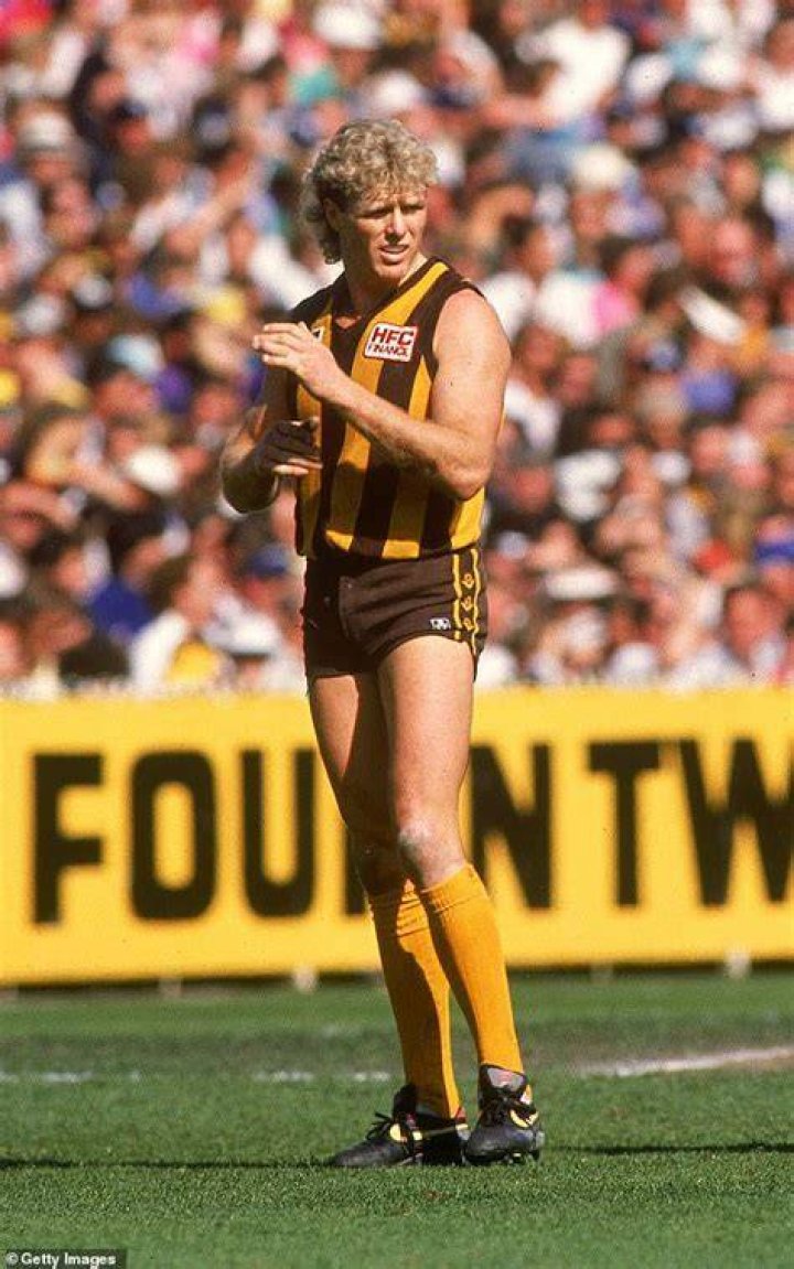 Dermott Brereton of the Hawthorn Hawks recieves his medal after a AFL