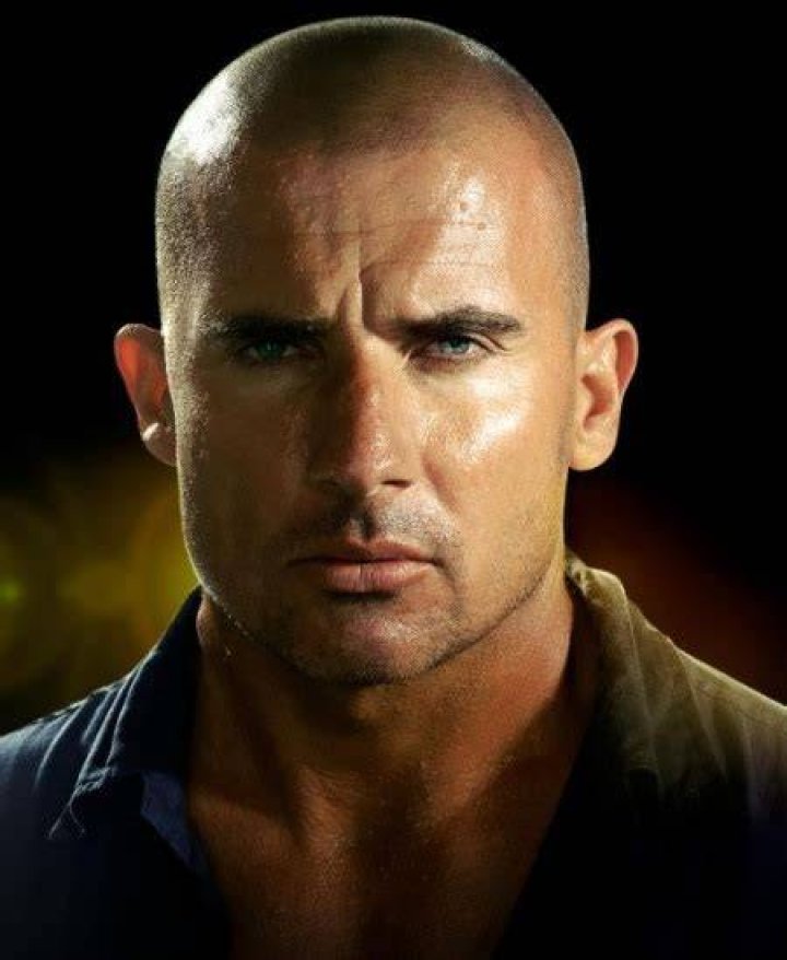 Dominic Purcell's net worth reflects how he has been dominating