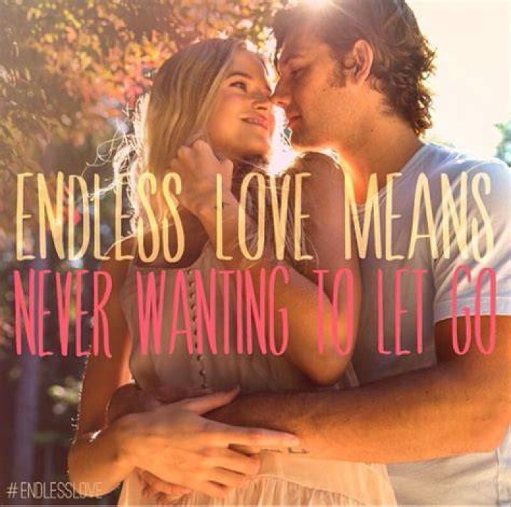 Endless Love 2014 Quotes. QuotesGram