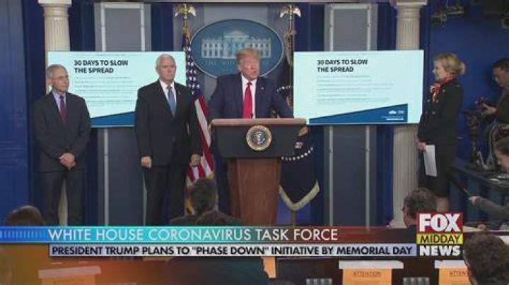 ExWhite House Coronavirus Task Force Adviser Says She Will Vote For