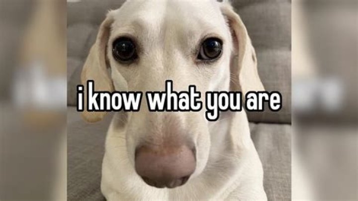 I know I've posted this before but we've got a lot of new followers