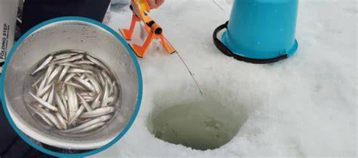 Ice Fishing Travel Hokkaido