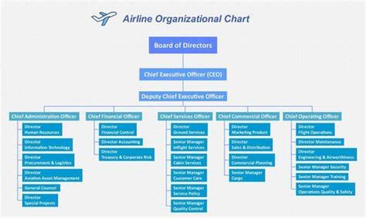 investiție țărănește motor airline organizational structure șapte și