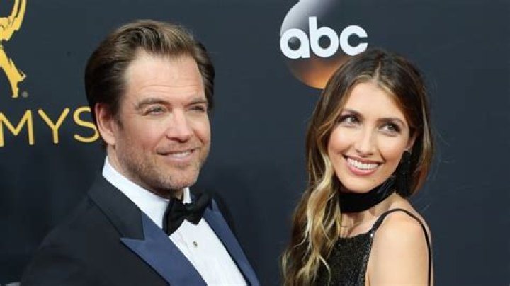 Is Michael Weatherly Married? &mdash; Meet His Successful Wife Bojana Jankovic