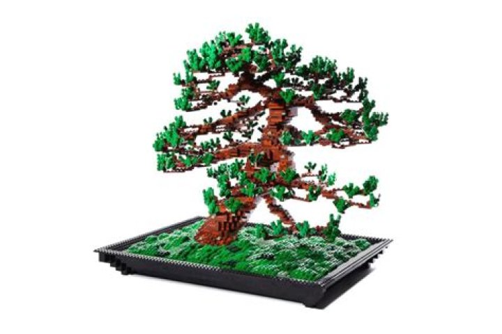 Lego Pine bonsai by Azuma Makoto, Japan Bonsai tree, Lego tree, Bonsai
