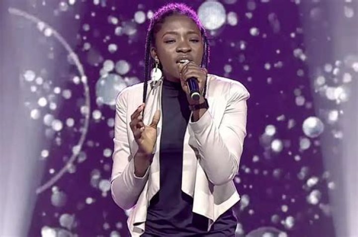 &lsquo;American Idol&rsquo; contestant who has autism receives standing ovation