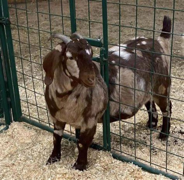 Meet &lsquo;Jeopardy! GOAT' Winner Ken Jennings&rsquo; Beautiful Wife Mindy and