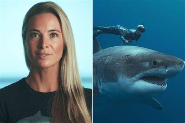 Ocean Ramsey the shark whisperer