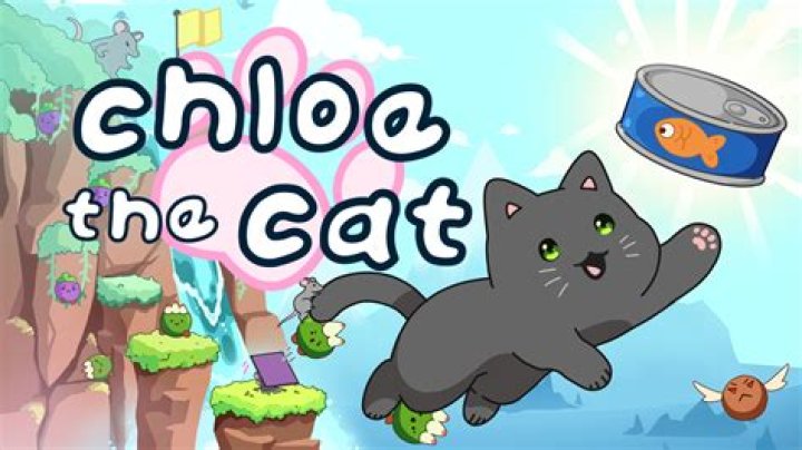 Omally Chloe Medlock Your Cat