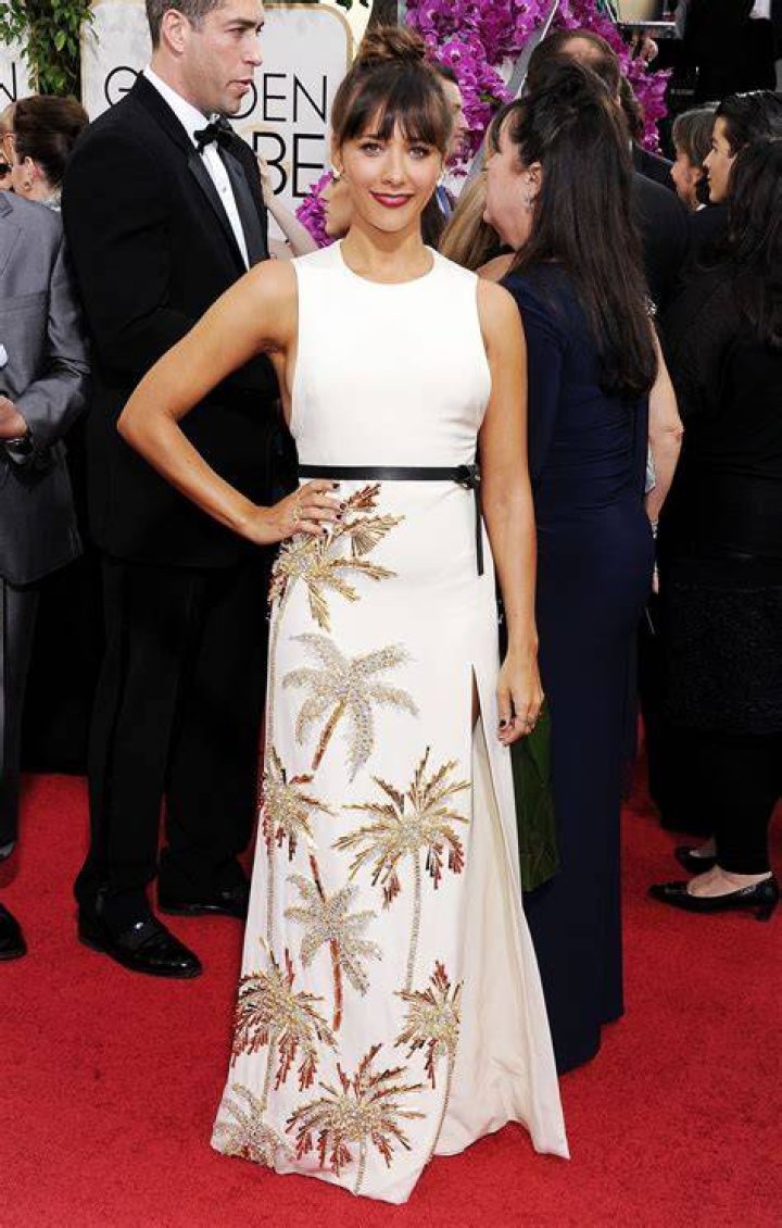 Rashida Jones Wears Fausto Puglisi 71st Annual Golden Globe Awards (2014) &bull; CelebMafia