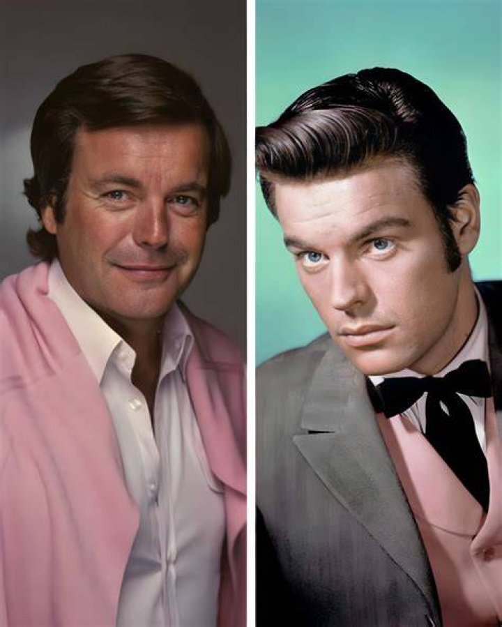 Robert Wagner matinee idol of the fifties. ⋆ Historian Alan Royle