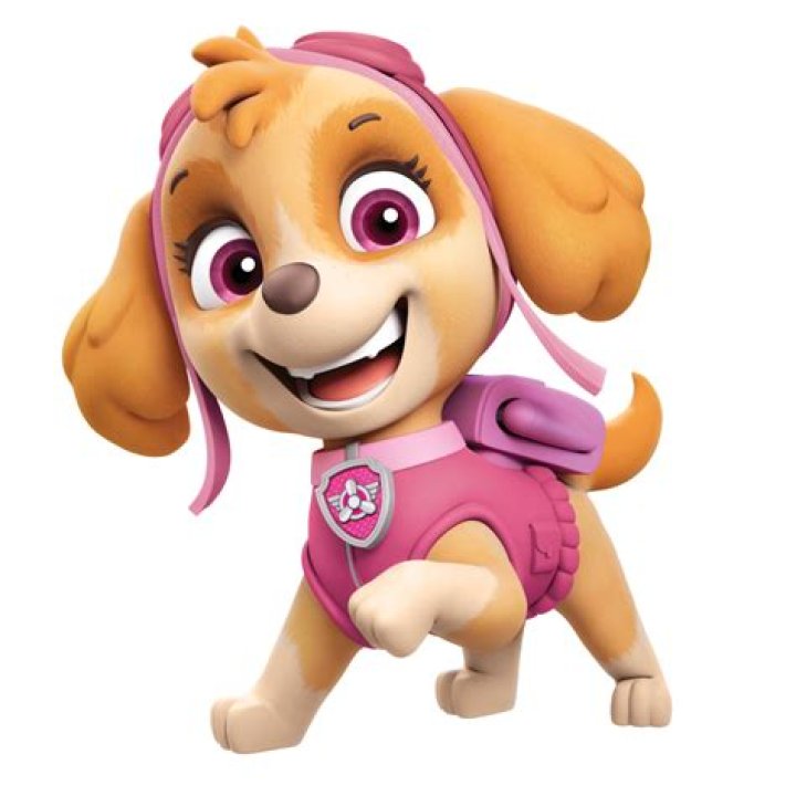 Skye Skye PAW Patrol Photo (41148642) Fanpop Page 80