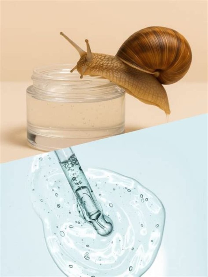 Snail Mucin vs Hyaluronic Acid Which Is Better for Your Skin?