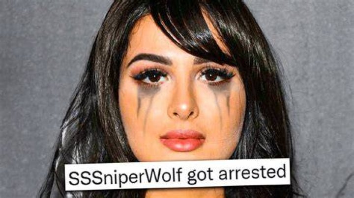 SSSniperWolf GOT ARRESTED.. YouTube