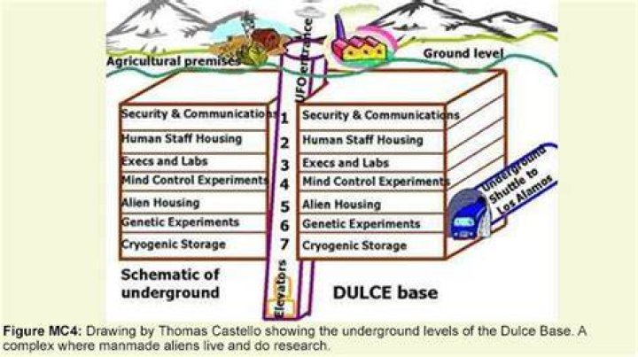 Thomas Castello, A Dulce Base whistleblower willow cat Published on Jan