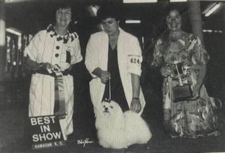 ThrowbackThursday Guess Who? Check Your Answer! Canine Chronicle