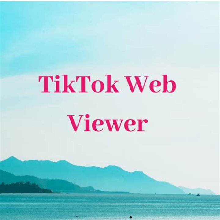 TikTok Viewer Script List Watch Videos without Downloading App or an Account We Need Website