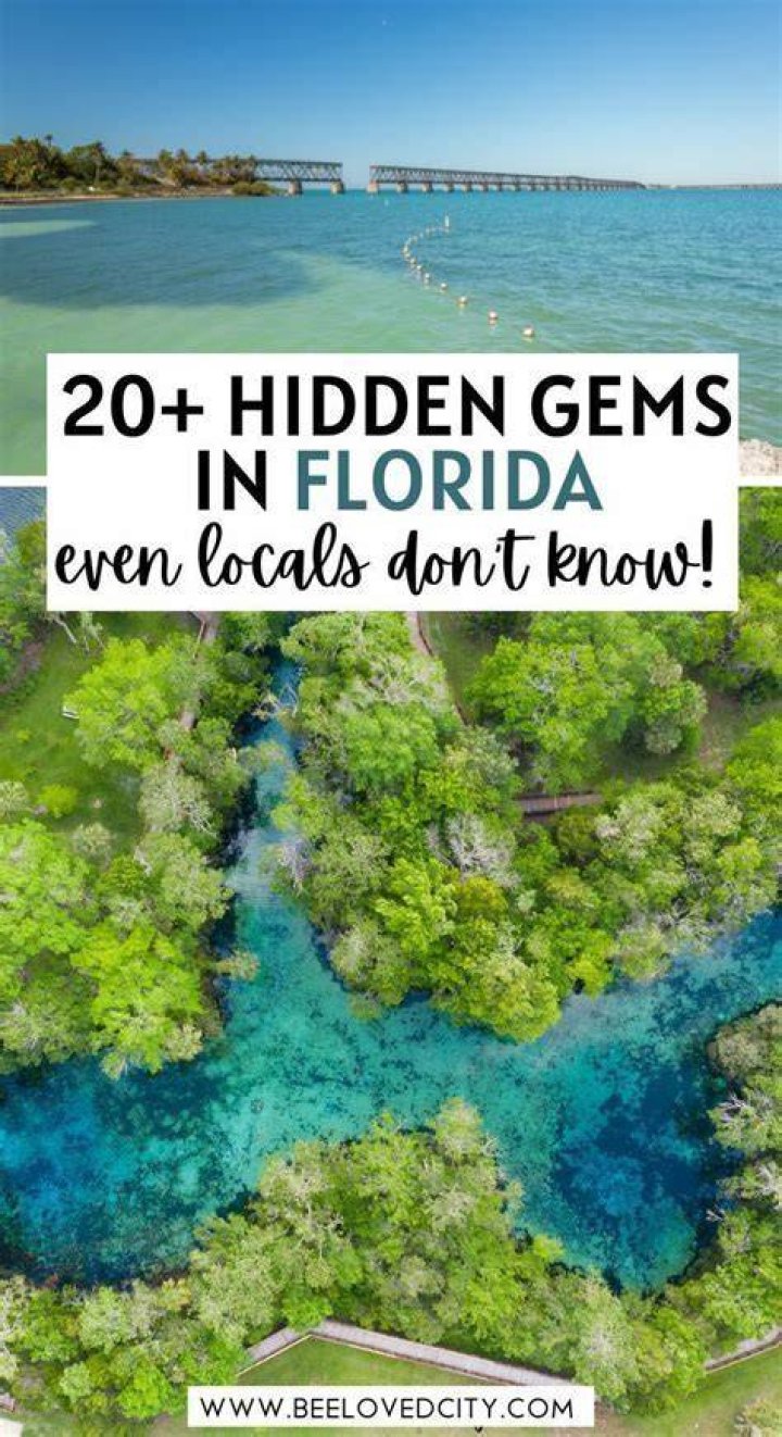 Uncover Hidden Gems: Your Guide To The Best Twitters For YK
