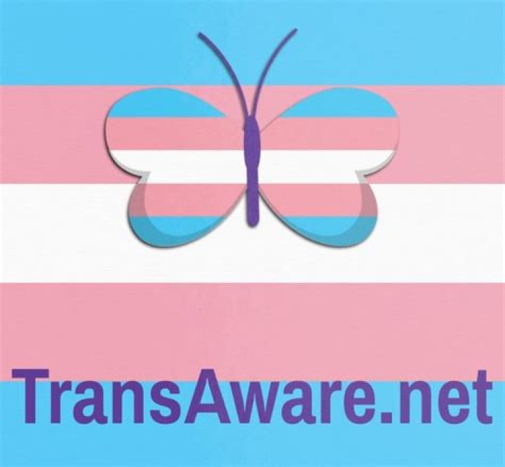 Uncovering The Truths And Impact Of Trans Identity