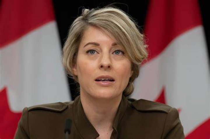 Who Is F&eacute;lix Marzell? Melanie Joly Husband Married Life And Kids