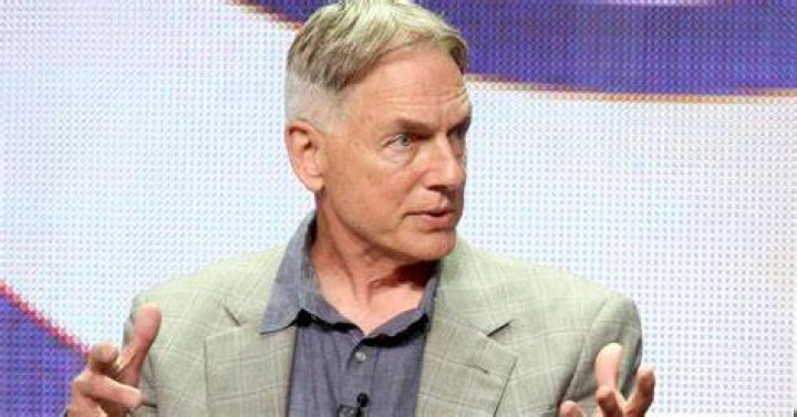 Why Did Mark Harmon Leave 'NCIS'? Why Did He Step Down in Season 19?